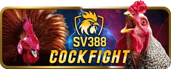 Lời khuyên từ Ball 88